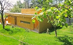 Vacation Home Pani Haje
